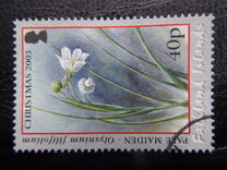 [Christmas - National Flower - Pale Maiden, type AES]