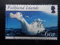 [Fauna - Birds, type AHL]