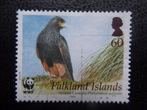 [WWF - Straited Caracara, type AHW]