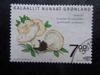 [Edible Fungi, タイプ NX]