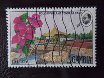 [Gambian Life, 类型 AEX]