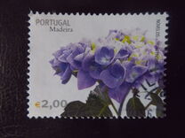 [Madeira Flowers, Tip HZ]