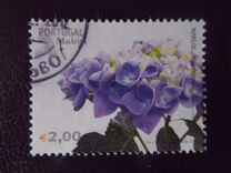 [Madeira Flowers, Tip HZ]