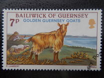 [Golden Guernsey Goats, نوع GE]