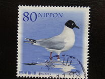 [Flora & Fauna - Rare Wildlife in Japan, type IPL]