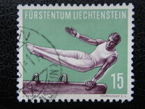 [Gymnastics, տեսակ JY]
