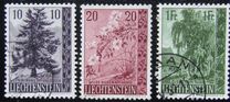 [Trees and Bushes, type KB]