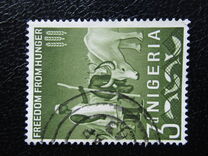 [Freedom from Hunger, प्रकार CK]