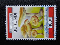 [Fungi, タイプ BBZ]