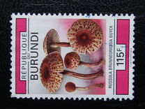 [Fungi, type BCX]