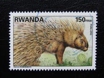 [Native Animals, type AXB]