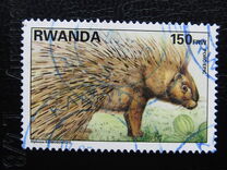 [Native Animals, type AXB]
