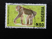 [Wildlife, प्रकार YV]