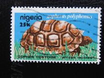 [African Reptiles, tegund OU]