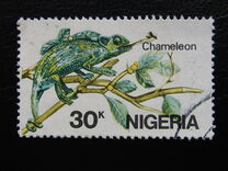 [African Reptiles, tegund OV]