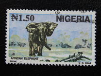 [Wildlife, tegund TZ]