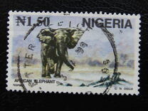 [Wildlife, tegund TZ]