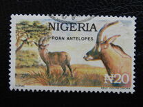 [Wildlife, tegund UB]