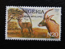 [Wildlife, tegund UB]