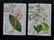 [Medical Herbs, typ FC]