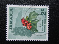 [Local Motifs, Tip FZ]