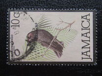 [Local Motifs - Birds and Sport, Tip QD]