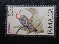 [Local Motifs - Birds and Sport, Tip QH]