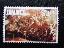 [Marine Life, type SJ]