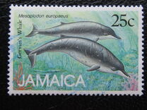 [Marine Mammals, Вид XZ]