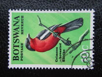 [Birds, тып Y]