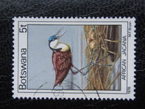 [Birds, type GT]