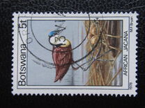 [Birds, type GT]