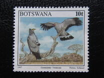 [Birds, type XF]