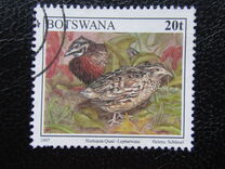 [Birds, type XH]