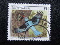 [Birds, type XP]