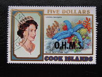 [Reef Life, type ACR]