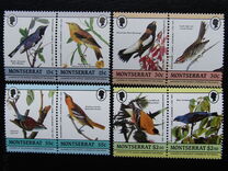 [Reef Life, type ACR]