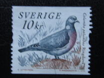 [Doves and Pigeons, type BTI]