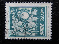 [Aleppo Cotton Festival, type KX]