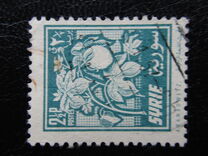 [Aleppo Cotton Festival, type KX]