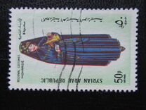 [Airmail - Costumes, Typ NR]