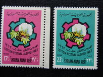 [Cotton Festival in Aleppo, Typ OK]