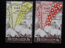 [Cotton Festival - Aleppo, type S]