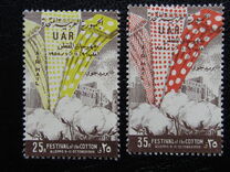 [Cotton Festival - Aleppo, type S]