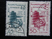 [Cotton Festival - Aleppo, ประเภท AR]