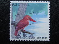 [Water Birds - White-faced shearwater & Ruddy kingfisher, Typ CJT]