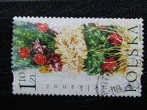 [Flora, tipas FKR]
