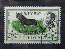 [Ethiopian Fauna, тып MH]