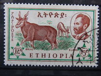 [Ethiopian Fauna, тып MI]
