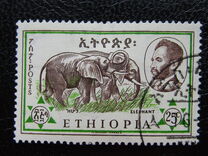 [Ethiopian Fauna, тып MJ]